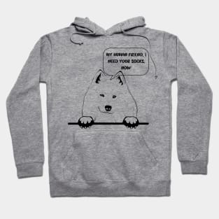 Samoyed Mom Knows her Samoyed the Best Hoodie